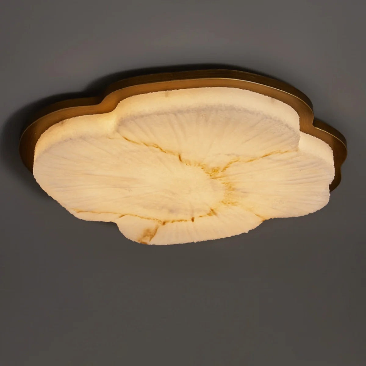 Qora Cloud Shaped Ceiling Light Cloud | Celestre