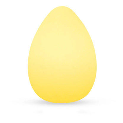 Esse Solar Egg Shape Outdoor Floor Lamp | Celestre