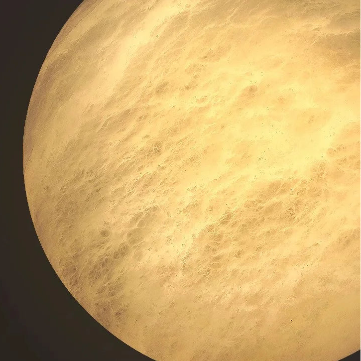 Brali Alabaster Moon Wall Light | Celestre
