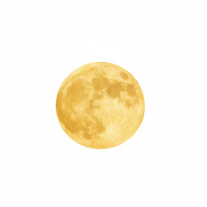 Aena Lunar Solar Outdoor Floor Lamp | Celestre