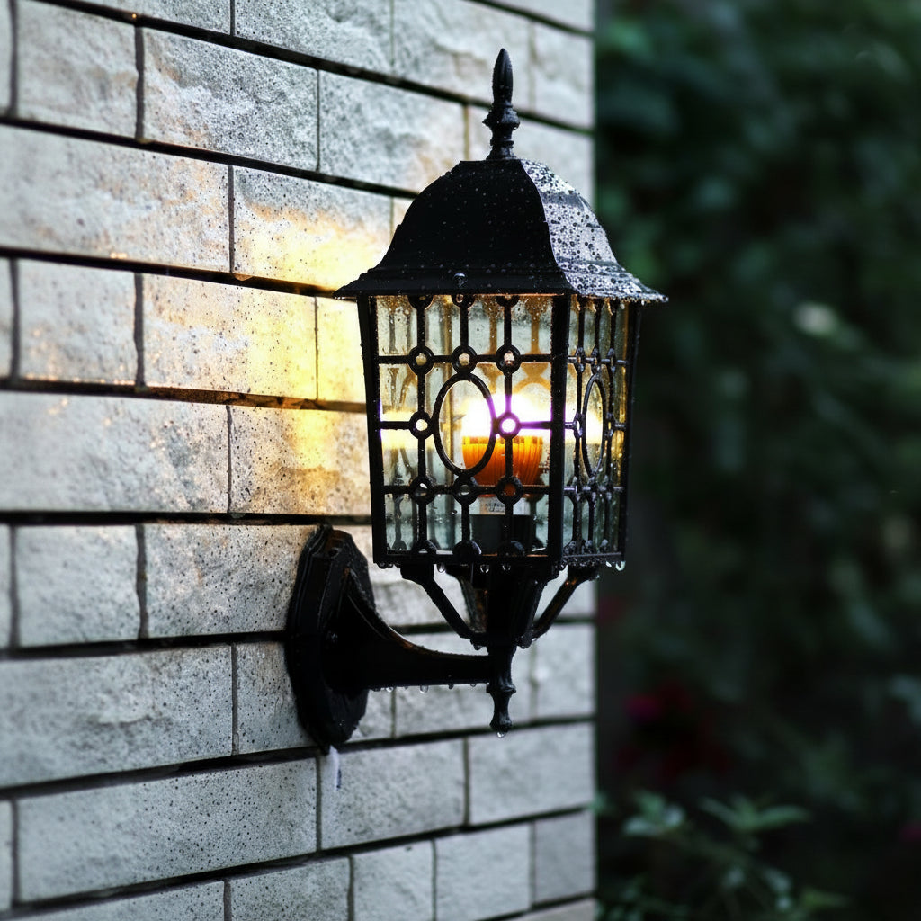 Anev Lantern Cage Outdoor Wall Light Black | Celestre