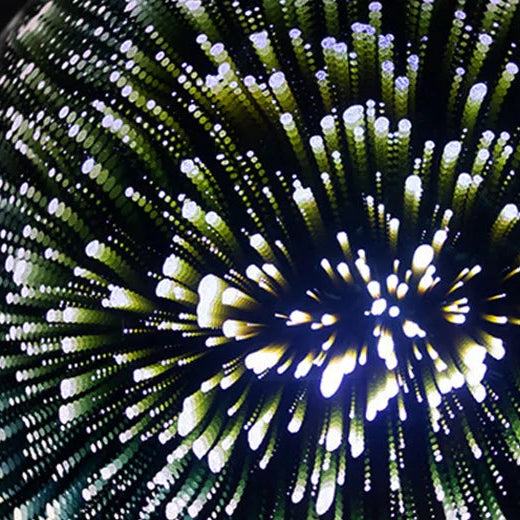 Cora Starburst Dome Pendant Light | Celestre