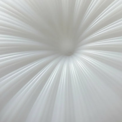 Vair Saucer Pleated Pendant Light | Celestre